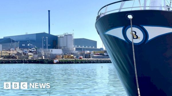 no-auction-at-peterhead-fish-market-after-boycott-by-processors-–-bbc.com