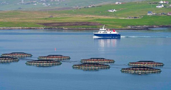 levelling-up-funding-boosts-10-projects-across-scotland-–-insiderco.uk