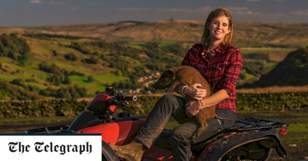 amanda-owen’s-farming-lives,-review:-a-missed-opportunity-to-…-–-the-telegraph