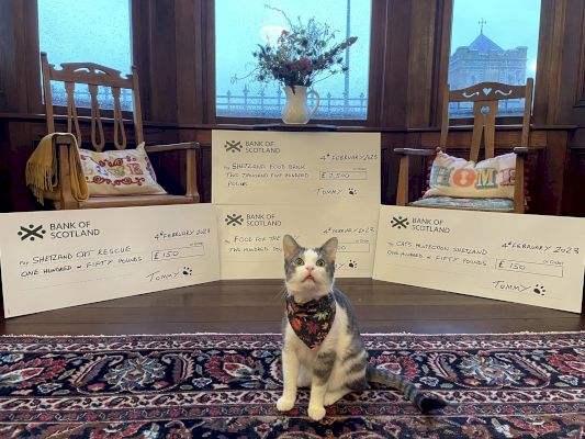tommy-the-cat’s-calendar-raises-3,000-for-four-fantastic-charities