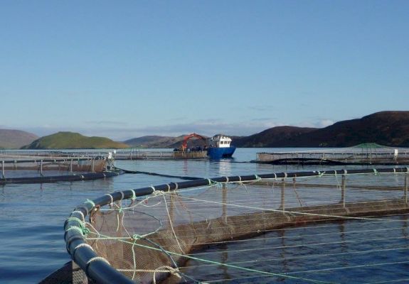 uhi-shetland-to-benefit-from-uk-seafood-fund