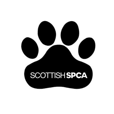 sspca-deals-with-hundreds-of-calls-amid-‘challenging’-year