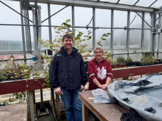 tree-population-set-to-sprout-after-funding-boost