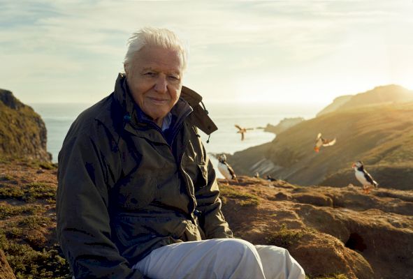 david-attenborough’s-final-nature-series-to-feature-shetland-seals-and-orcas