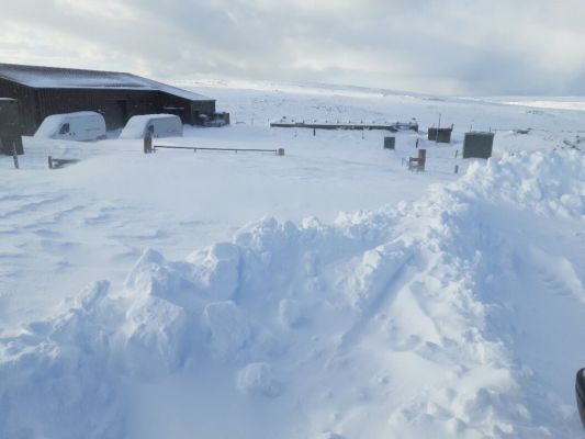 schools-in-north-mainland-and-north-isles-remain-shut