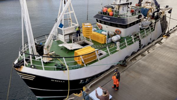 fishing-leader-warns-of-catastrophic-impact-of-hpmas