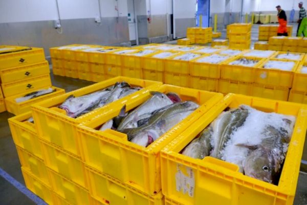 funding-boost-for-seafood-sector