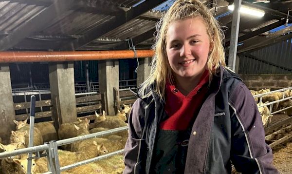 apprentice-farmer-of-the-year-is-finalist-for-excellence-award