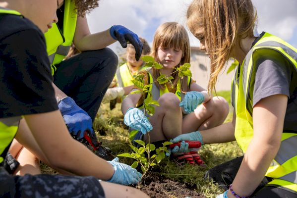 bell’s-brae-pupils-continue-rewilding-efforts