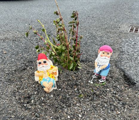 a-gnome-from-home-at-whalsay-health-centre