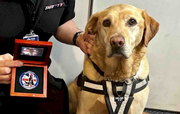 thor-retires-after-detecting-more-than-1m-of-drugs-during-nine-year-career