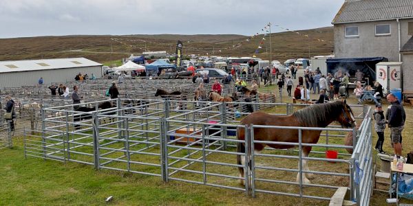yell-show-draws-crowd