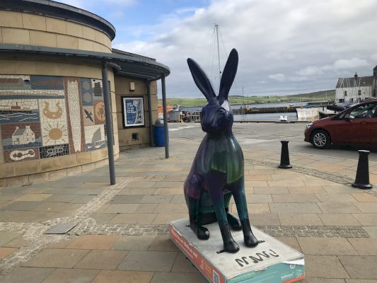 hares-hop-it-to-aberdeen