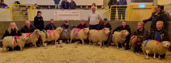 ram-sells-for-record-20,000