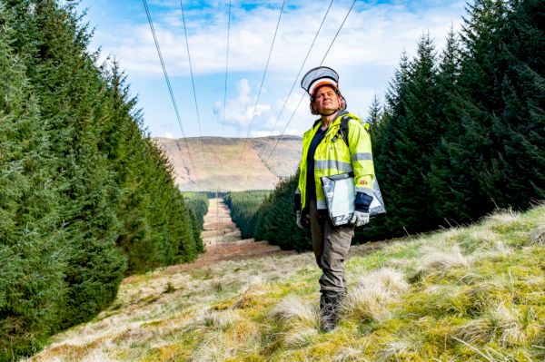 energy-firm-looks-to-create-thousands-of-hectares-of-new-woodland
