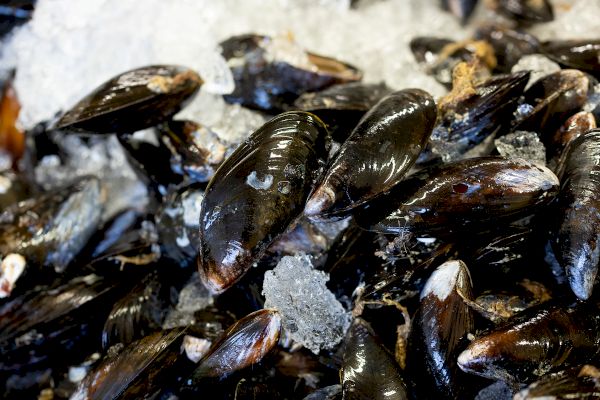 yell-mussel-firm-expands-–-creating-four-new-jobs