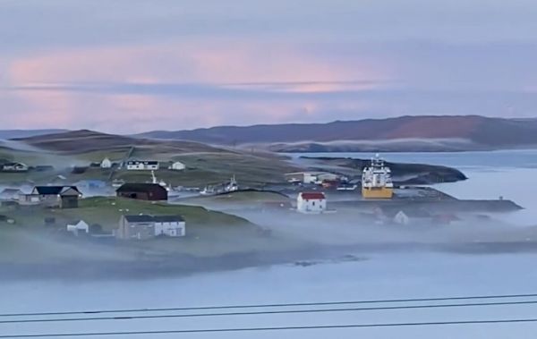 watch:-dawn-chorus-in-whalsay’s-daalamist 