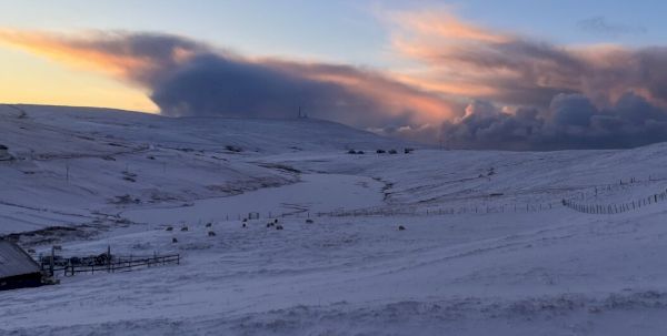 schools-to-stay-closed-on-friday-as-snow-and-freezing-weather-continues