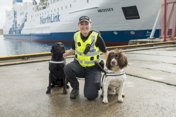 convener-kicks-off-times-drugs-dog-fundraiser-with-generous-donation