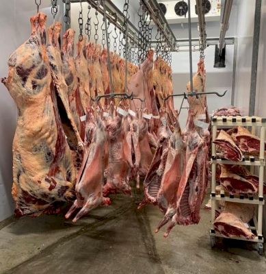 cut-backs-at-abattoir-as-financial-pressure-grows