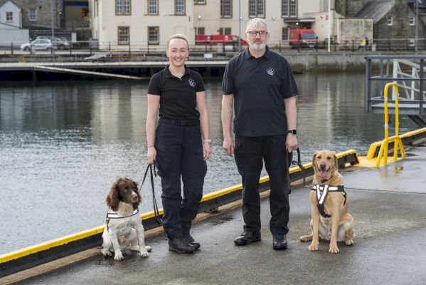 many-more-back-dogs-against-drugs-campaign