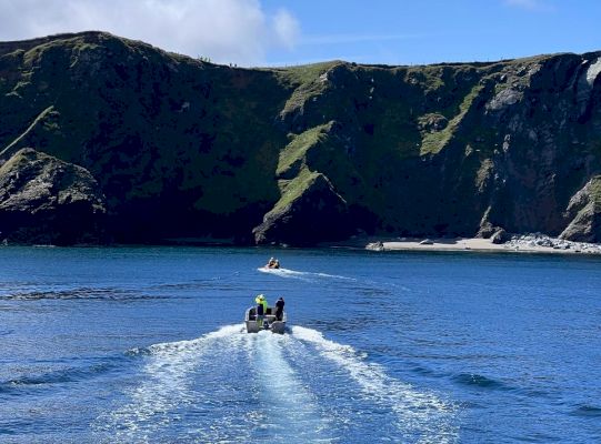 lifeboat-rescues-stranded-dog