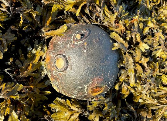 mussel-farmer-finds-unexploded-mine