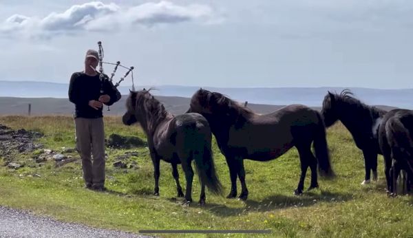 piper-plays-for-peerie-ponies
