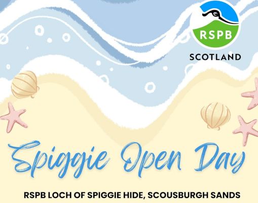 spiggie-open-day