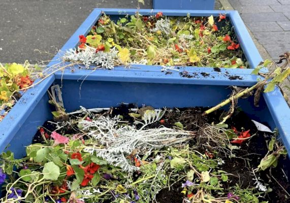 vandals-trash-harrison-square-planters