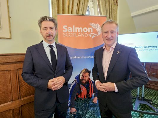 scottish-salmon-‘due-a-boom’,-mp-says