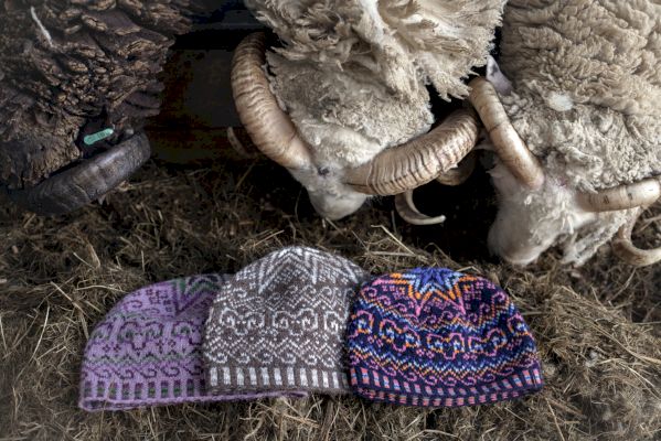fifteenth-wool-week-set-to-begin
