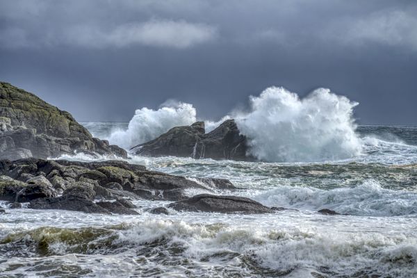 flood-alert-and-wind-warning-issued