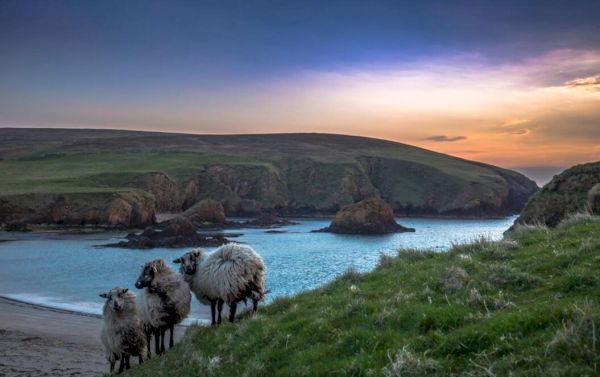 mp voices-farming-concerns-over-possible-inheritance-tax-changes
