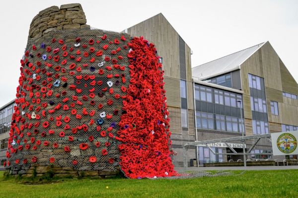 anderson-high-school-marks-remembrance-with-1,800-woolly-poppies