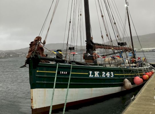 watch:-swan-returns-with-new-mast