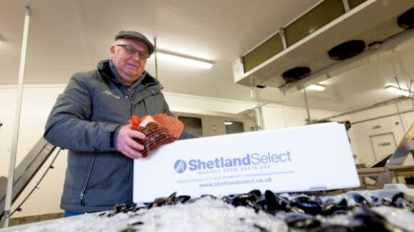 mussel-money-to-help-business-go-green