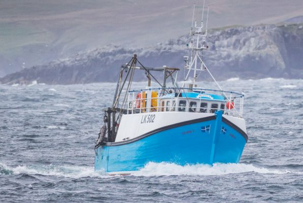 most-catches-down,-but-‘encouraging’-numbers-of-young-fish-in-annual-survey