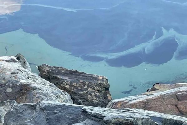 blue-green-algae-spotted-in-sandy-loch