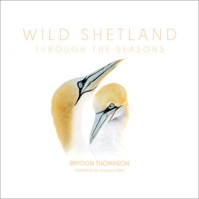 wildlife-photographer’s-stunning-book-captures-‘magic-of-shetland’-to-scoop-second-place-in-awards 