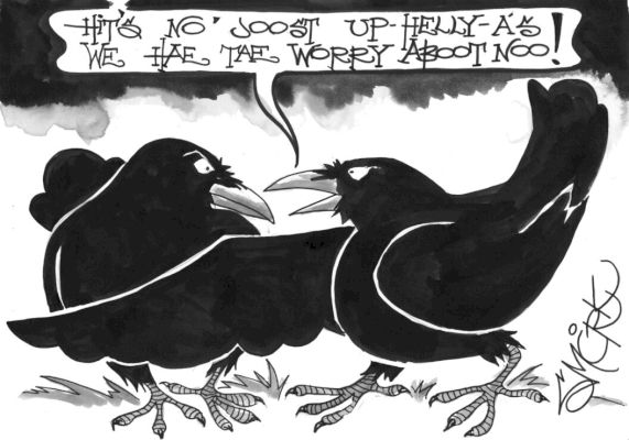 poll:-should-more-ravens-be-shot-to-protect-livestock?