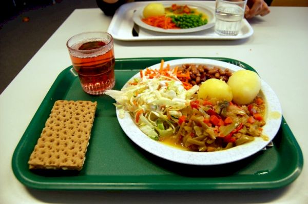 free-school-meals-pilot-to-begin-in-august