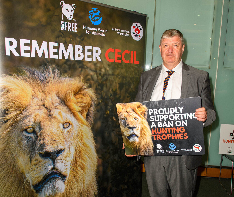 carmichael-calls-for-ban-on-hunting-trophies-in-memory-of-cecil-the-lion