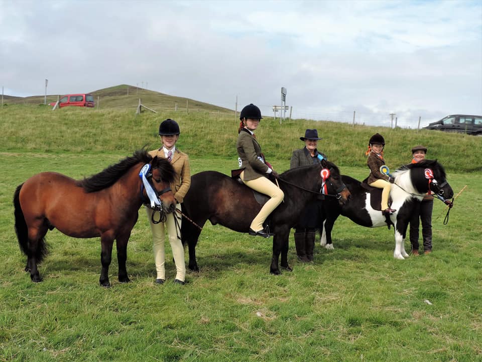 shetland-ponies-set-for-fun-weekend-of-jumping,-gymkhana-and-judging
