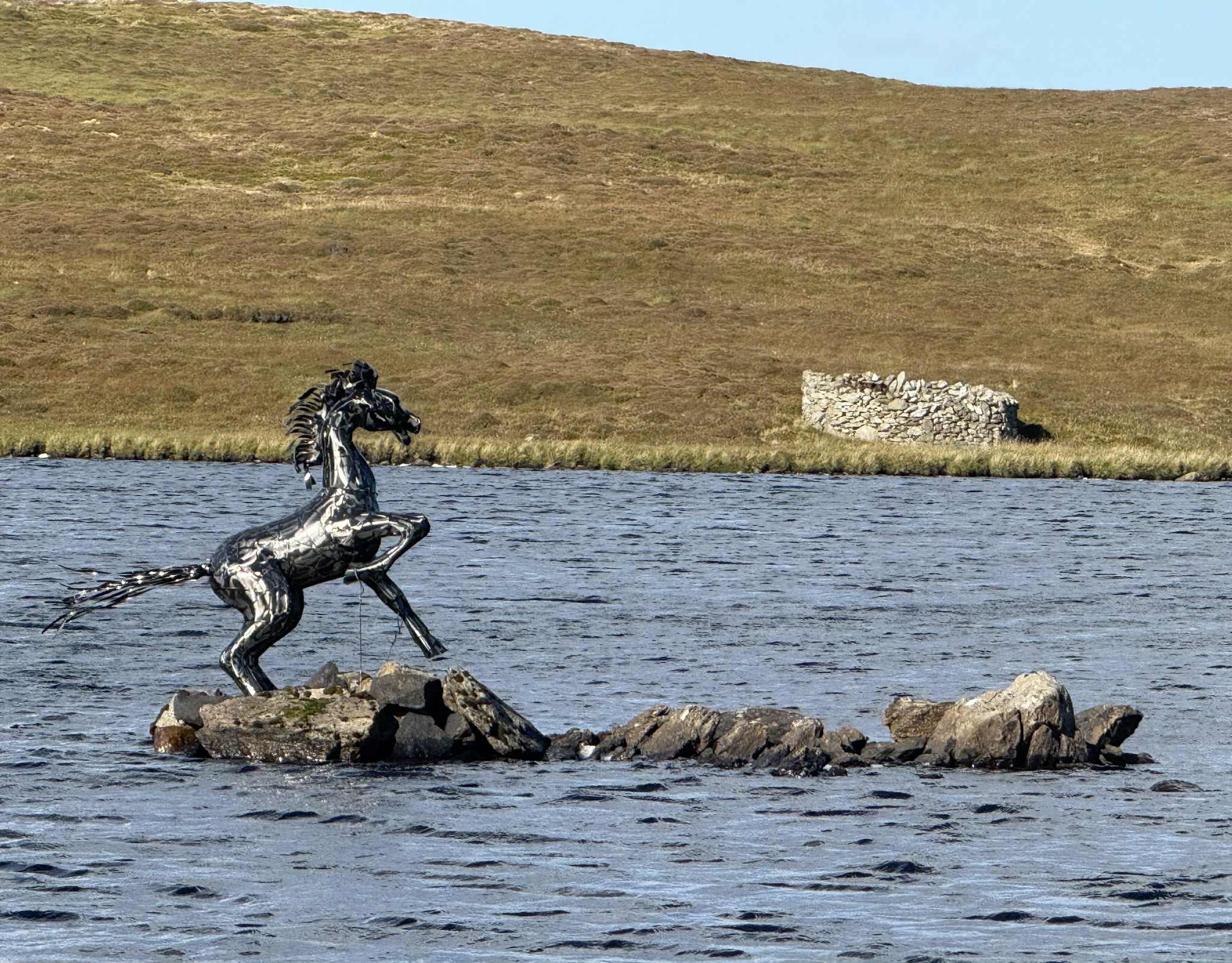shapeshifting-waterhorse-strikes-a-pose-in-whalsay