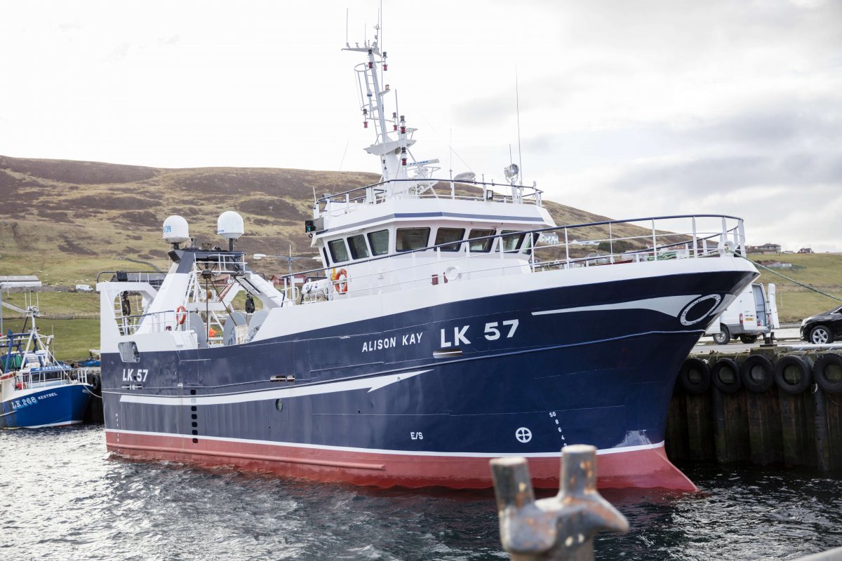 scientists-recommend-“zero-catch”-for-north-sea-cod