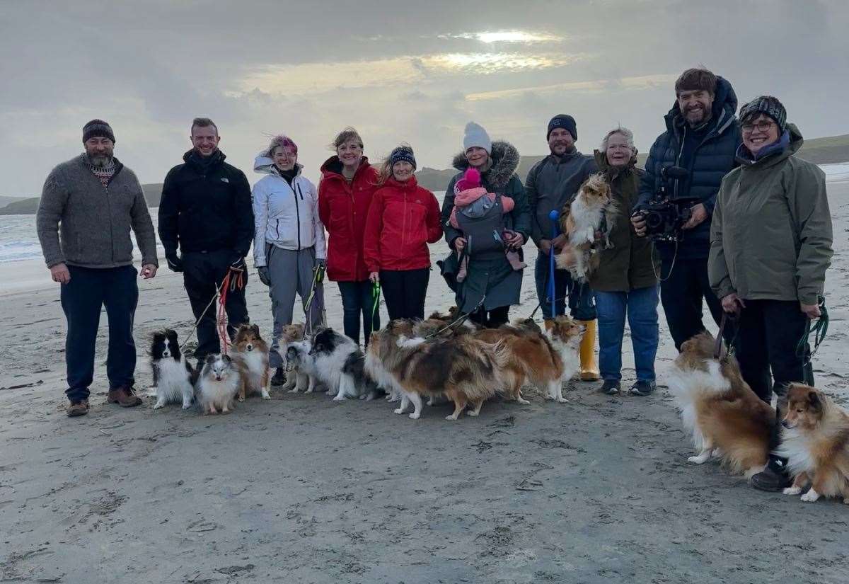 ‘blissful-chaos’-–-shelties-run-free-for-new-tv-show-celebrating-‘toonie-dugs’