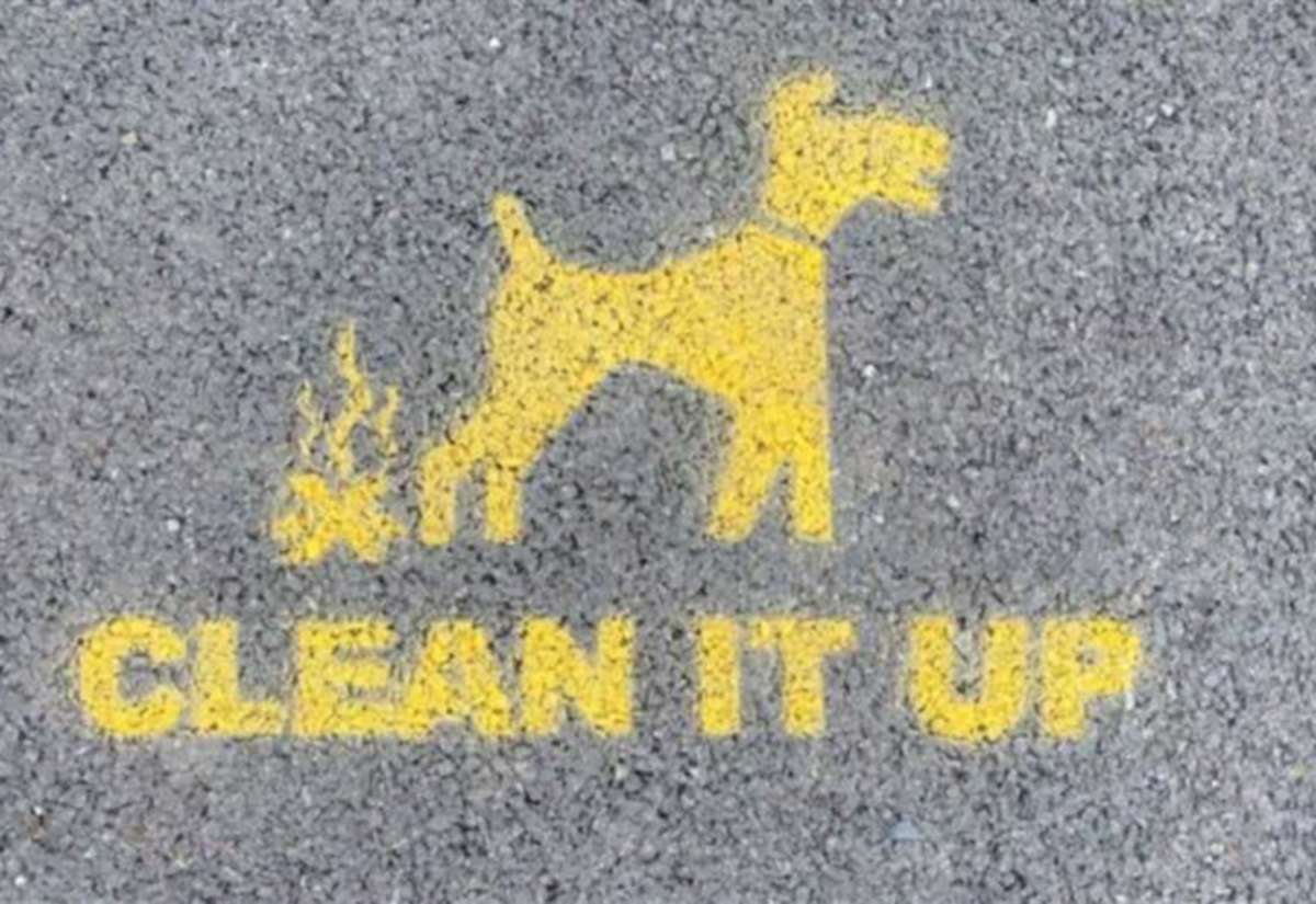 ‘absolutely-disgusting’-–-dog-fouling-worsens-during-darker-nights-and-sparks-backlash-online