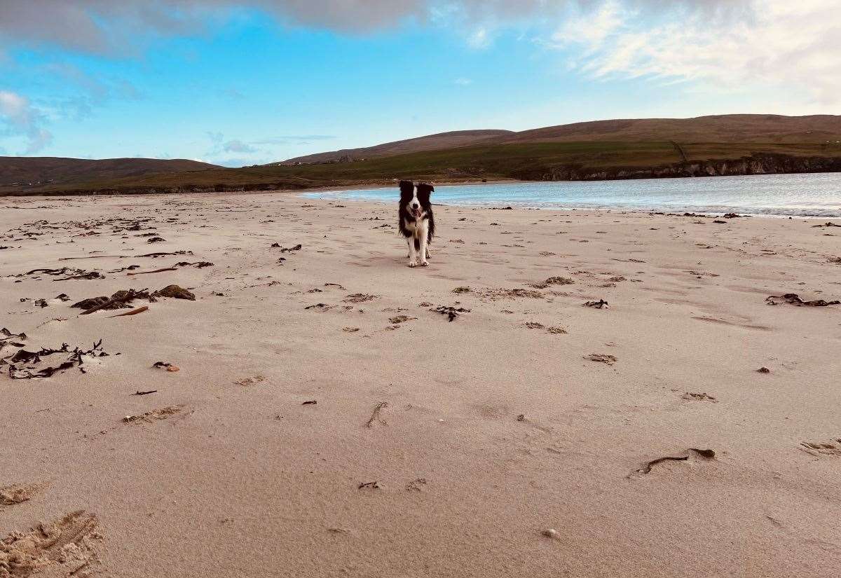tombolo-with-‘golden-sands-and-clear-waters’-ranked-one-of-best-beaches-to-visit-this-autumn