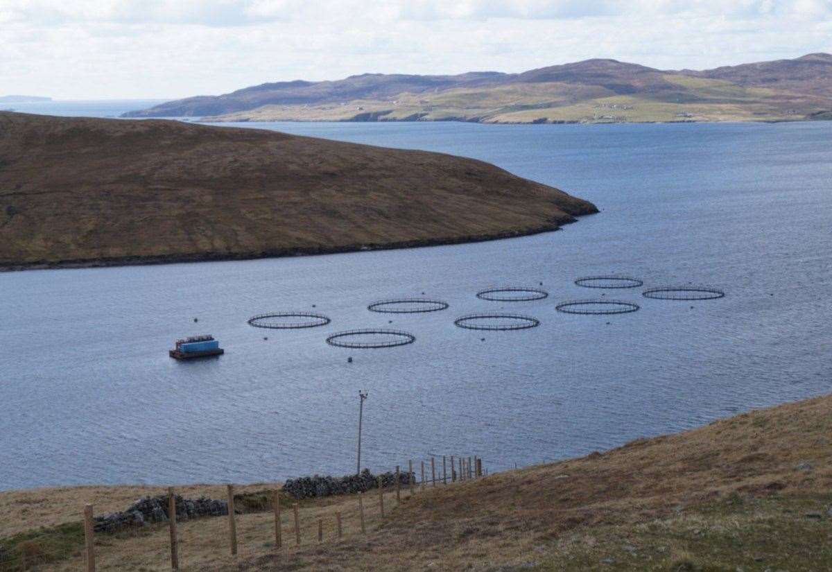 production-up,-employment-down-at-salmon-farms